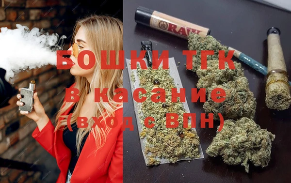 молекула духа Арсеньев
