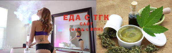 индика Аркадак