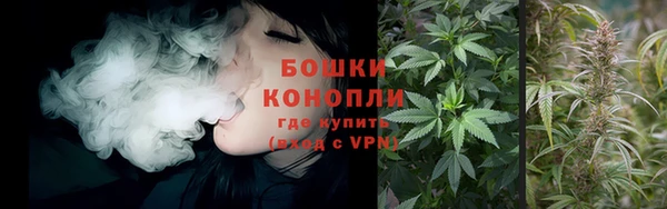 молекула духа Арсеньев