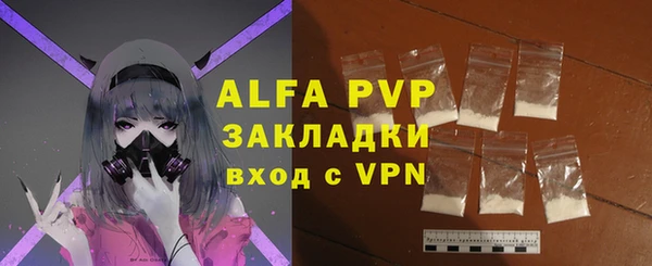 молекула духа Арсеньев