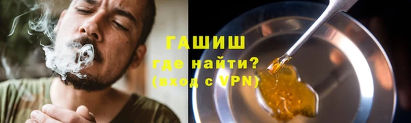 индика Аркадак