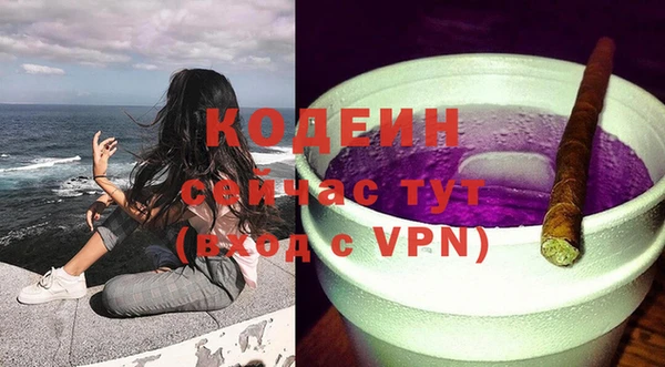 индика Аркадак
