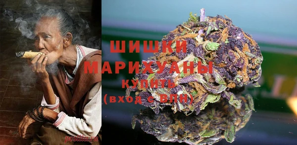 молекула духа Арсеньев