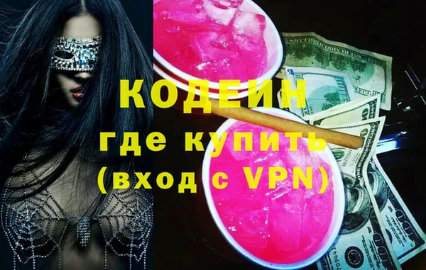молекула духа Арсеньев