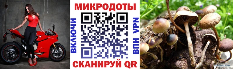 Псилоцибиновые грибы Psilocybe  MEGA ССЫЛКА  площадка клад  Ступино 